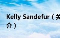 Kelly Sandefur（关于Kelly Sandefur的简介）