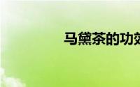 马黛茶的功效与作用禁忌