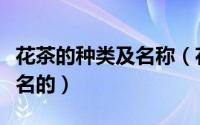 花茶的种类及名称（花茶的种类是根据什么命名的）