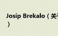 Josip Brekalo（关于Josip Brekalo的简介）