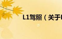 L1驾照（关于L1驾照的简介）