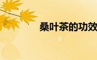 桑叶茶的功效与作用及禁忌
