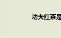 功夫红茶是什么意思？
