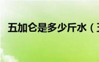 五加仑是多少斤水（五加仑水等于多少斤）
