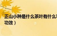 正山小种是什么茶叶有什么功效（正山小种是什么茶有什么功效）
