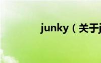 junky（关于junky的简介）