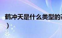 鹤冲天是什么类型的茶（鹤冲天茶属于什么茶）