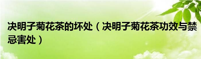决明子菊花茶的坏处（决明子菊花茶功效与禁忌害处）