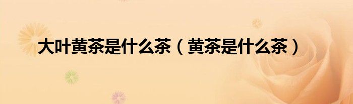 大叶黄茶是什么茶（黄茶是什么茶）