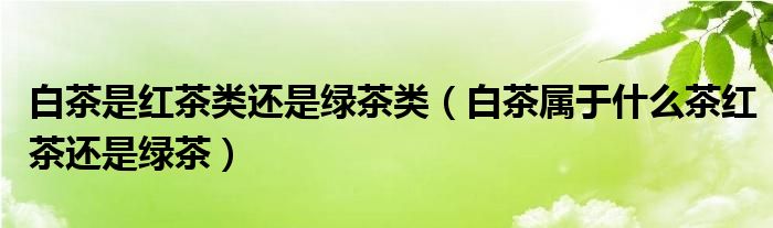 白茶是红茶类还是绿茶类（白茶属于什么茶红茶还是绿茶）