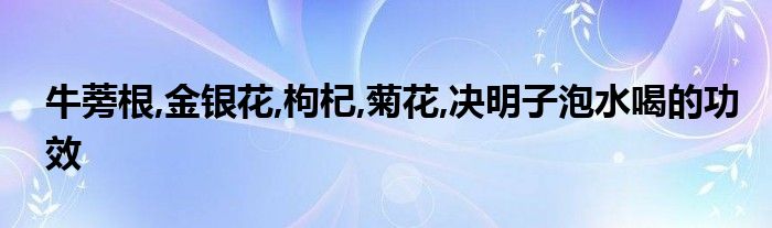 牛蒡根,金银花,枸杞,菊花,决明子泡水喝的功效