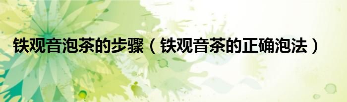 铁观音泡茶的步骤（铁观音茶的正确泡法）