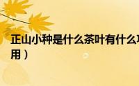 正山小种是什么茶叶有什么功效（正山小种红茶的功效与作用）