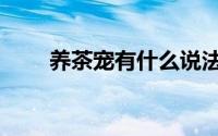 养茶宠有什么说法吗（什么是茶宠）