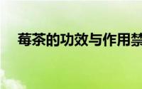莓茶的功效与作用禁用(张家界莓茶骗局)