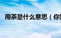 用茶是什么意思（你知道什么叫茶入吗？）