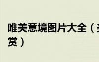 唯美意境图片大全（美女品茶唯美意境图片欣赏）