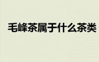 毛峰茶属于什么茶类（毛峰茶属于什么茶）