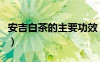 安吉白茶的主要功效（喝安吉白茶的九大功效）