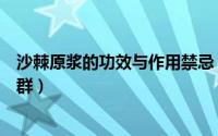沙棘原浆的功效与作用禁忌（沙棘原浆的功效与作用适合人群）