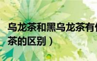 乌龙茶和黑乌龙茶有什么区别（黑乌龙和乌龙茶的区别）