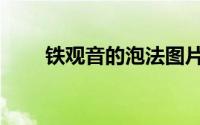 铁观音的泡法图片（铁观音的泡法）