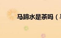 马蹄水是茶吗（马蹄脚茶是什么）