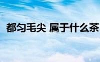都匀毛尖 属于什么茶（都匀毛尖是什么茶）