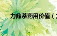 力鼎茶药用价值（力鼎茶功效和作用）