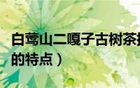 白莺山二嘎子古树茶拥有者（白莺山二嘎子茶的特点）