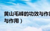 黄山毛峰的功效与作用英语（黄山毛峰的功效与作用）