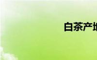白茶产地是哪里