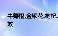 牛蒡根,金银花,枸杞,菊花,决明子泡水喝的功效