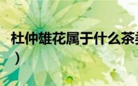杜仲雄花属于什么茶类（杜仲雄花属于什么茶）