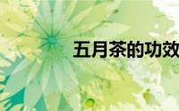 五月茶的功效与作用及禁忌