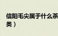 信阳毛尖属于什么茶?（信阳毛尖属于什么茶类）