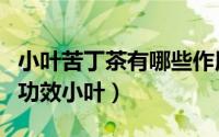 小叶苦丁茶有哪些作用（苦丁茶有什么作用和功效小叶）