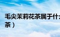毛尖茉莉花茶属于什么茶（茉莉花茶属于什么茶）
