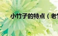小竹子的特点（老竹大方产地和特点）