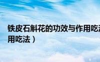 铁皮石斛花的功效与作用吃法百科（铁皮石斛花的功效与作用吃法）