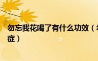 勿忘我花喝了有什么功效（勿忘我花茶的功效与作用及禁忌症）