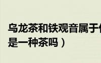 乌龙茶和铁观音属于什么茶（乌龙茶和铁观音是一种茶吗）