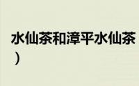 水仙茶和漳平水仙茶（漳平水仙茶属于什么茶）