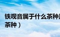 铁观音属于什么茶种是热性（铁观音属于什么茶种）