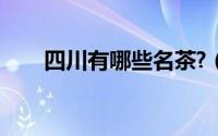 四川有哪些名茶?（四川有哪些名茶）