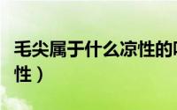毛尖属于什么凉性的吗（毛尖属于凉性还是热性）