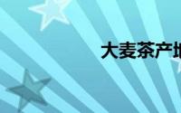 大麦茶产地青海哪里
