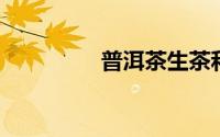 普洱茶生茶和熟茶的区别
