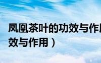 凤凰茶叶的功效与作用及禁忌（凤凰茶叶的功效与作用）