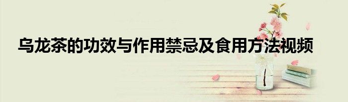 乌龙茶的功效与作用禁忌及食用方法视频